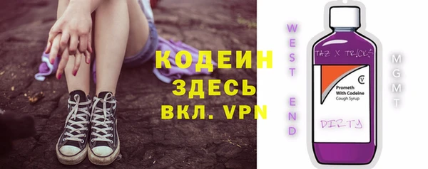 индика Абинск