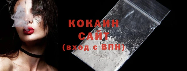 индика Абинск