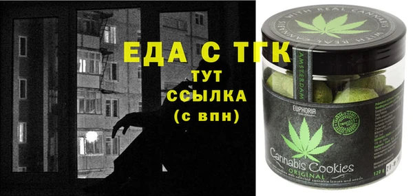 индика Абинск