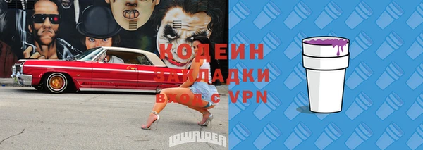 индика Абинск