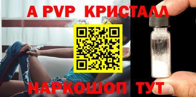 стаф Свободный