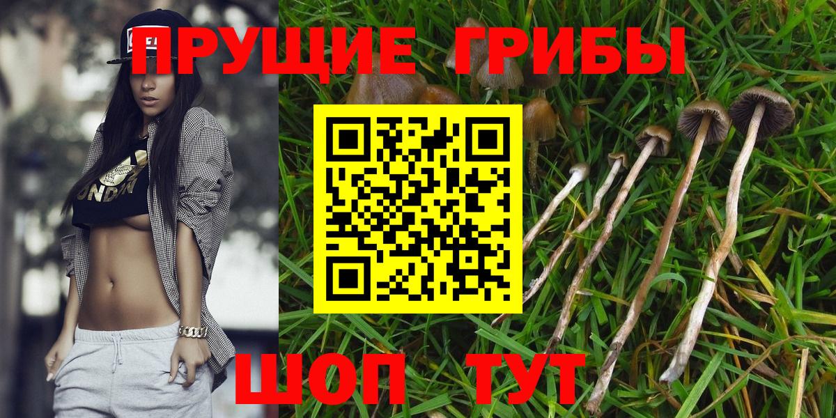 Галлюциногенные грибы MAGIC MUSHROOMS  Вход с VPN  Сальск 