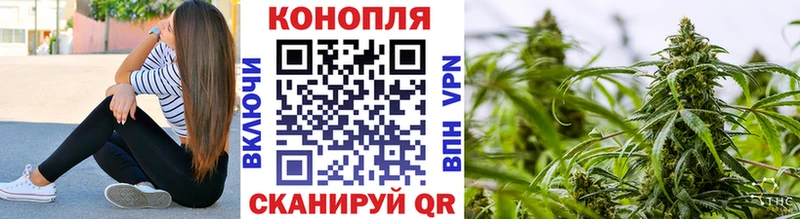 купить наркотик  Сальск  маркетплейс клад  Канабис LSD WEED 